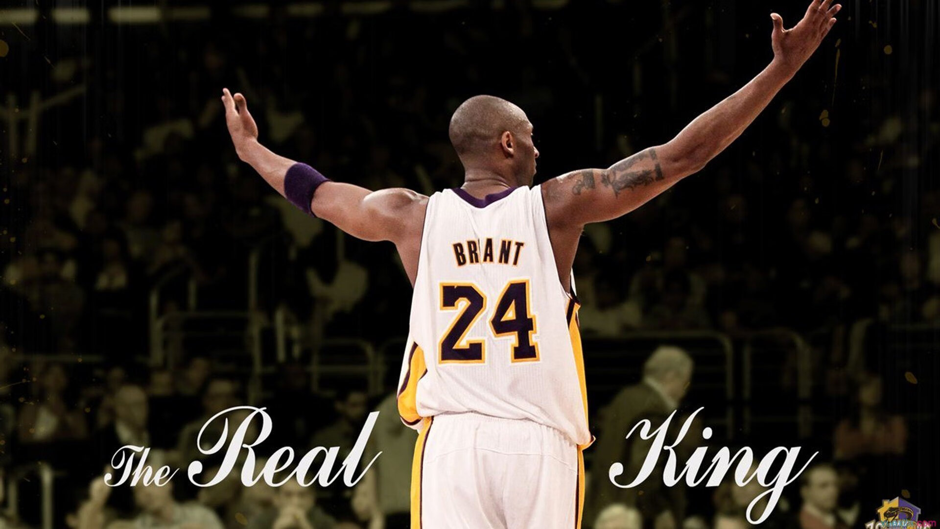 开云平台-当黄潜艇掀翻奥地利巨轮，哈兰德用半决赛告诉世界，什么叫接管比赛